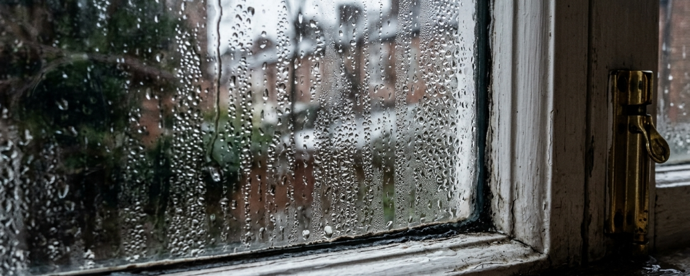 home_renewal_window_leaks (1).png