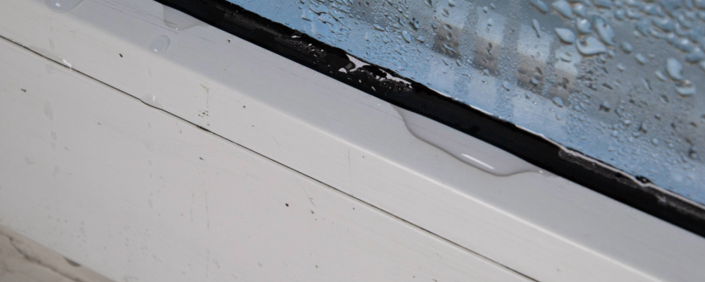 home_renewal_drafty_windows (1).png