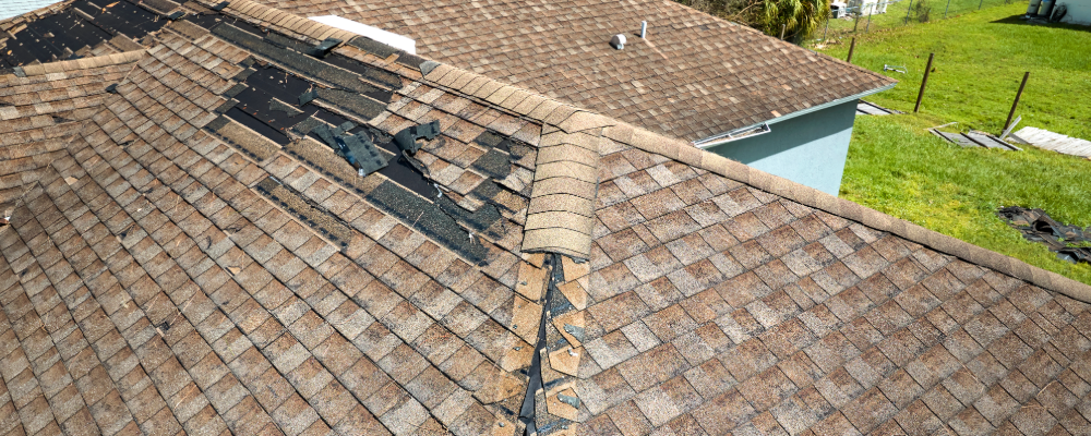 home_renewal_common_home_inspection_problems (1).png