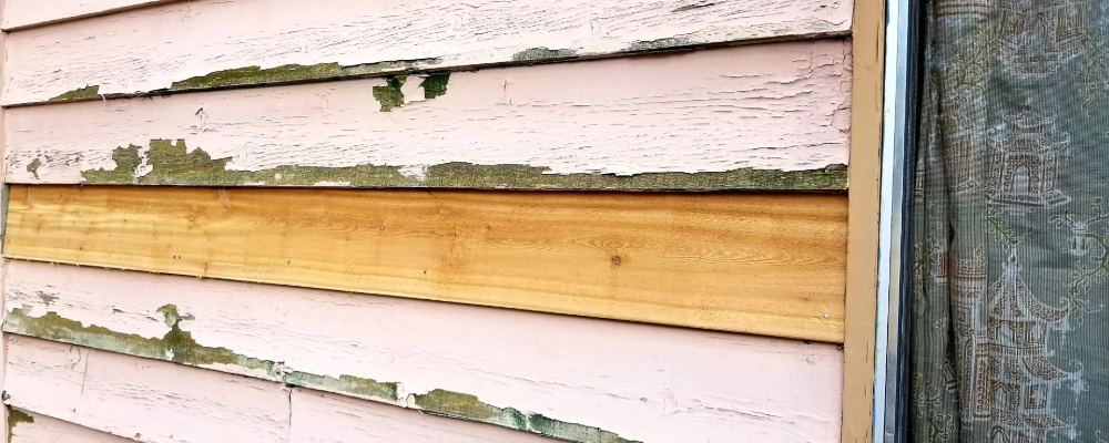 home_renewal_common_home_inspection_problems (6).png