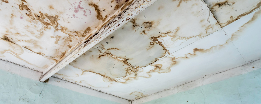 home_renewal_common_home_inspection_problems.png