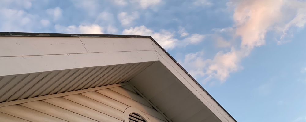 home_renewal_fix_squirrels_in_the_attic (4).png