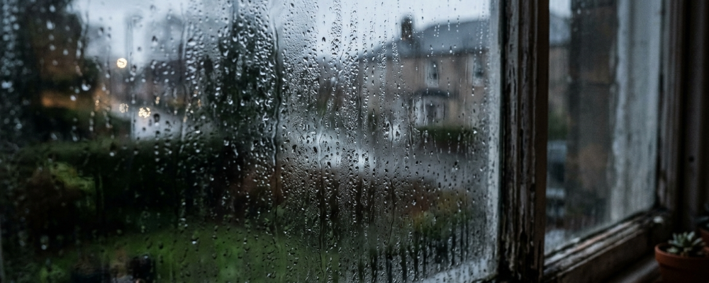 home_renewal_stop_condensation.png
