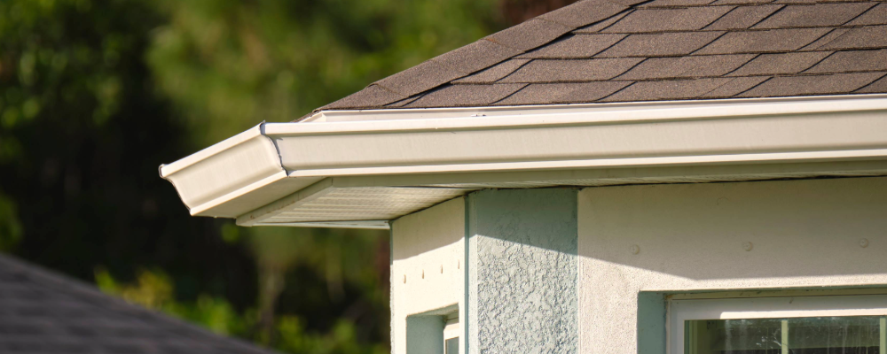 home_renewal_invest_rain_gutters (1).png