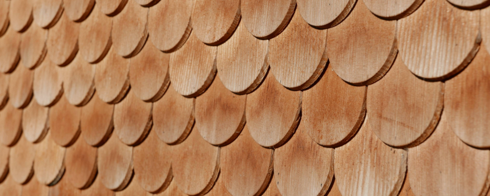 home_renewal_popular_types_vinyl_siding (2).png