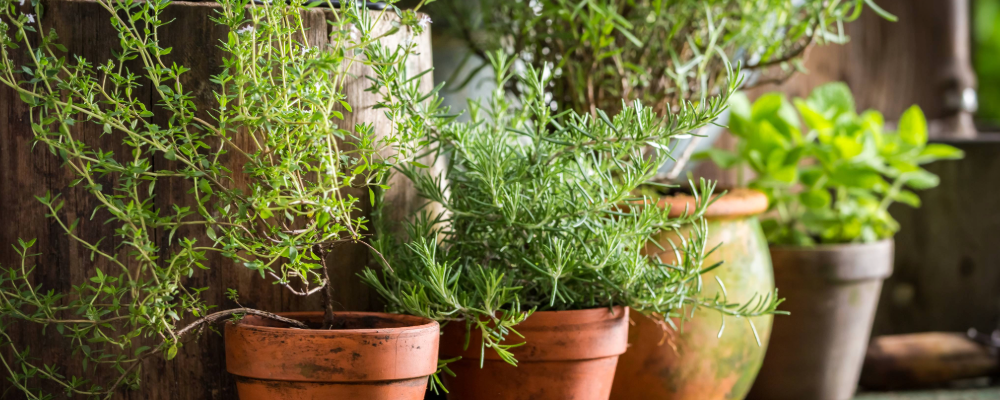 home_renewal_replace_with_garden_window (3).png