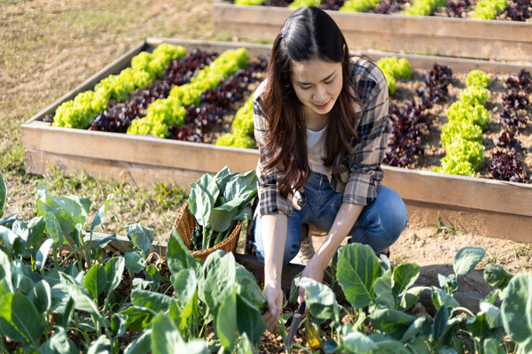 Pretty young organic vegetable